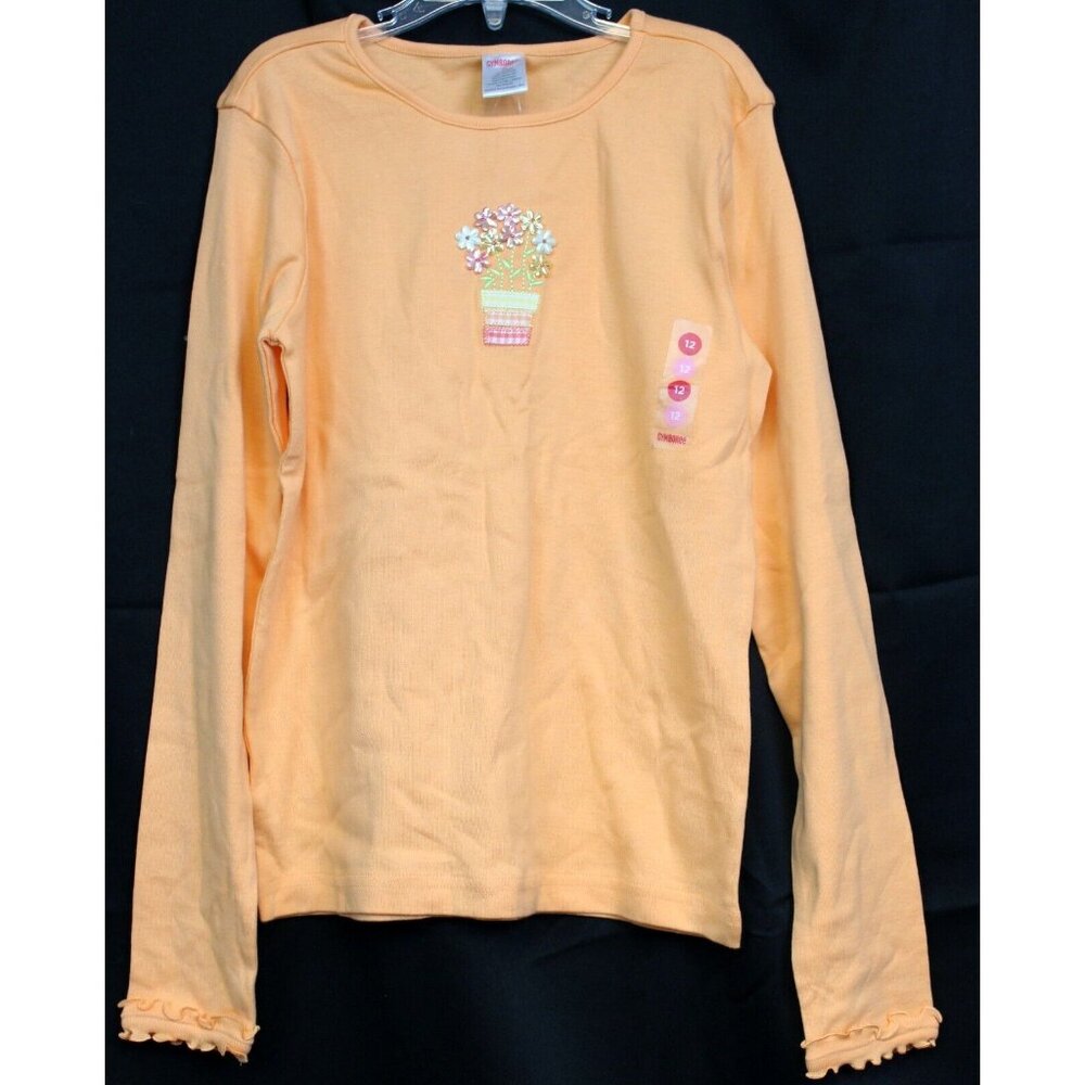 2006 Gymboree Freshly Picked Shirt sz 12 Orange Flower Pot Long Sleeve Lettuce H
